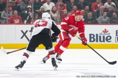 Senators-vs-red-Wings-November-19-2019-19