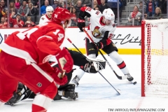 Senators-vs-red-Wings-November-19-2019-2