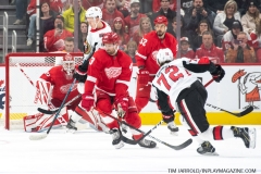 Senators-vs-red-Wings-November-19-2019-21