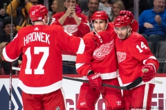 Senators-vs-red-Wings-November-19-2019-22