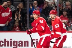 Senators-vs-red-Wings-November-19-2019-31