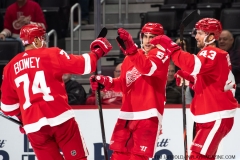 Senators-vs-red-Wings-November-19-2019-32