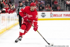 Senators-vs-red-Wings-November-19-2019-33