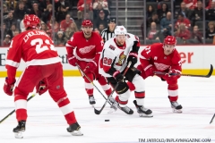Senators-vs-red-Wings-November-19-2019-41