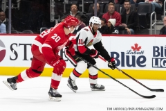 Senators-vs-red-Wings-November-19-2019-48