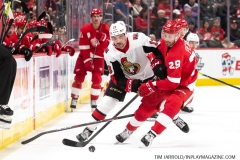 Senators-vs-red-Wings-November-19-2019-54