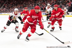 Senators-vs-red-Wings-November-19-2019-7