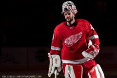 Sharks-at-Detroit-Red-Wings-December-31-2019-1