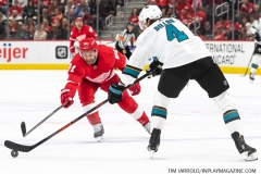Sharks-at-Detroit-Red-Wings-December-31-2019-33