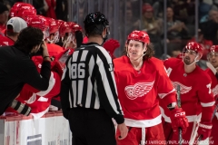Sharks-at-Detroit-Red-Wings-December-31-2019-41