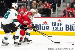 Sharks-at-Detroit-Red-Wings-December-31-2019-55
