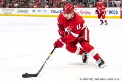 Sharks-at-Detroit-Red-Wings-December-31-2019-7