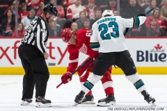 Sharks Wings Feb 24 2019 (11)