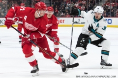 Sharks Wings Feb 24 2019 (15)