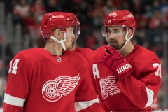 Sharks Wings Feb 24 2019 (18)