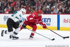 Sharks Wings Feb 24 2019 (19)