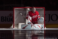 Sharks Wings Feb 24 2019 (2)
