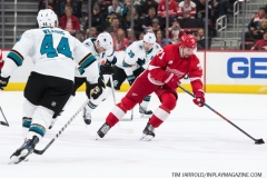Sharks Wings Feb 24 2019 (21)