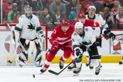 Sharks Wings Feb 24 2019 (22)