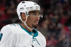Sharks Wings Feb 24 2019 (24)