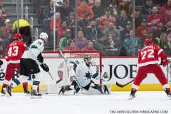 Sharks Wings Feb 24 2019 (26)