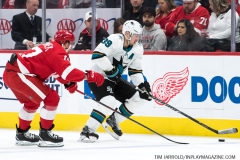 Sharks Wings Feb 24 2019 (29)