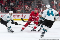 Sharks Wings Feb 24 2019 (40)