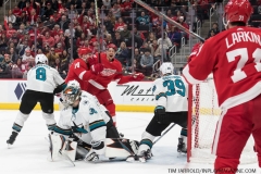 Sharks Wings Feb 24 2019 (55)