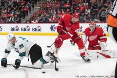 Sharks Wings Feb 24 2019 (56)