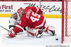 Sharks Wings Feb 24 2019 (64)