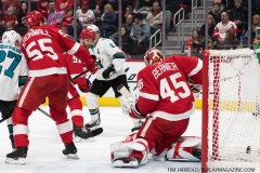 Sharks Wings Feb 24 2019 (65)