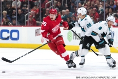 Sharks Wings Feb 24 2019 (7)