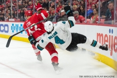 Red WIngs vs San Jose Sharks Jan 31 2018 (1)