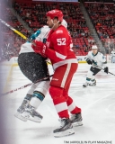 Red WIngs vs San Jose Sharks Jan 31 2018 (13)