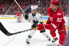 Red WIngs vs San Jose Sharks Jan 31 2018 (16)