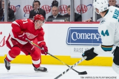 Red WIngs vs San Jose Sharks Jan 31 2018 (24)