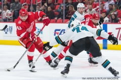 Red WIngs vs San Jose Sharks Jan 31 2018 (25)