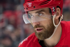 Red WIngs vs San Jose Sharks Jan 31 2018 (27)