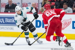 Red WIngs vs San Jose Sharks Jan 31 2018 (31)