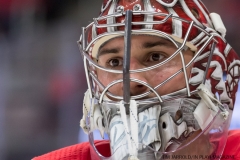 Red WIngs vs San Jose Sharks Jan 31 2018 (34)