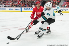 Red WIngs vs San Jose Sharks Jan 31 2018 (4)