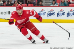 Red WIngs vs San Jose Sharks Jan 31 2018 (7)
