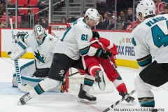 Red WIngs vs San Jose Sharks Jan 31 2018 (9)