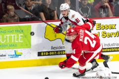 Soo-Greyhounds-vs-Windsor-Spitfires-Oct-24-2019-9