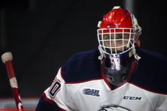 Windsor Spitfires vs Saginaw Spirit Feb 7 2019 (12)