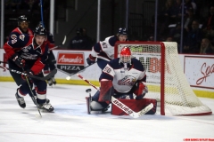 Windsor Spitfires vs Saginaw Spirit Feb 7 2019 (3)