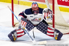 Saginaw-Spirit-at-Windsor-Spitfires-January-19-2020-13