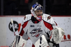 Saginaw-Spirit-vs-Windsor-Spitfires-November-10-2019-2