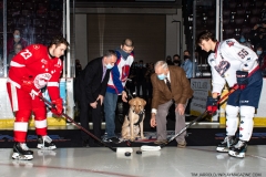 Soo-Greyhounds-@-Windsor-Spitfires-Dec-16-2021-Tim-Jarrold-In-Play-magazine-1