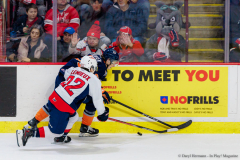 Windsor-Spitfires-vs-Flint-Firebirds-December-31-2024-In-Play-magazine-40